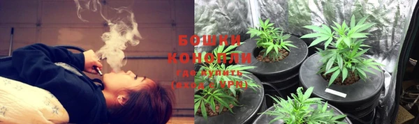 МДПВ Елизово