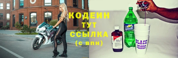 МДПВ Елизово