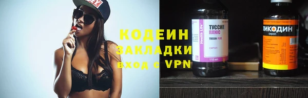a pvp Ельня