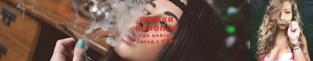 МДПВ Елизово
