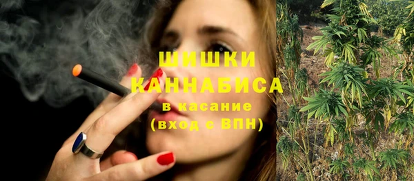 молекула духа Елабуга