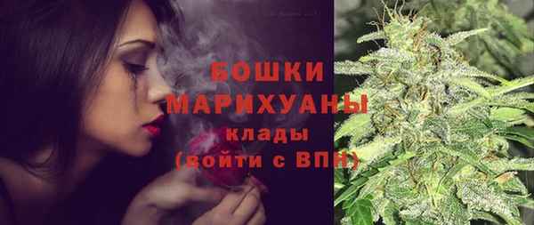 a pvp Ельня