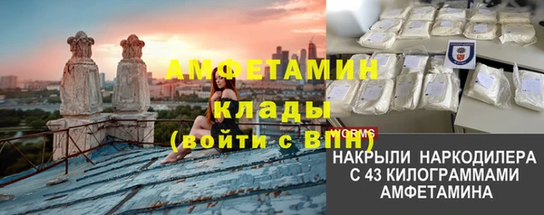 молекула духа Елабуга