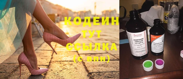 молекула духа Елабуга