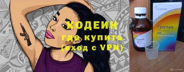 МДПВ Елизово