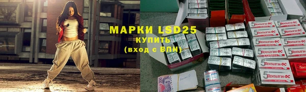a pvp Ельня