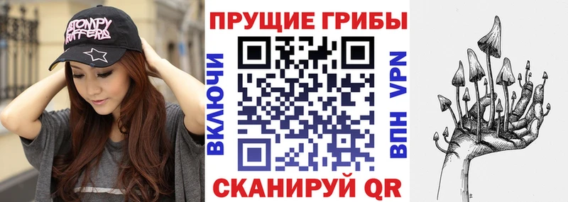 Псилоцибиновые грибы мицелий  Купить  Петушки 